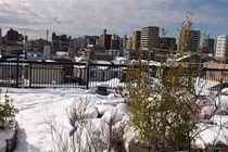 Tokyo Guest House 2020 Екстер'єр фото