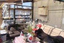 Tokyo Guest House 2020 Екстер'єр фото